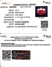 4.95/CT Natural Mozambique Ruby with Govt. Lab Certificate (23310)